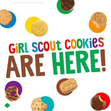 Girl Scout Cookie Sales | Chicago Ridge Mall